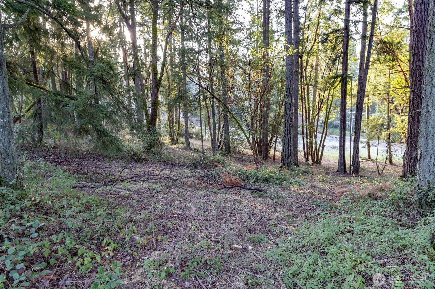 0 Lemolo Shore, Parcel 3-006 Drive NE Poulsbo WA 98370
