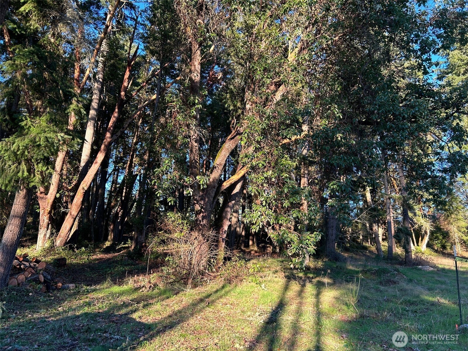 0 Lemolo Shore, Parcel 3-006 Drive NE Poulsbo WA 98370