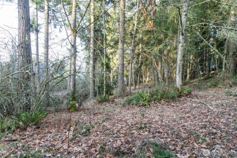 0 Lemolo Shore, Parcel 3-006 Drive NE Poulsbo WA 98370