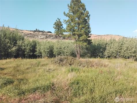 4 Painted Rock Road Tonasket WA 98855