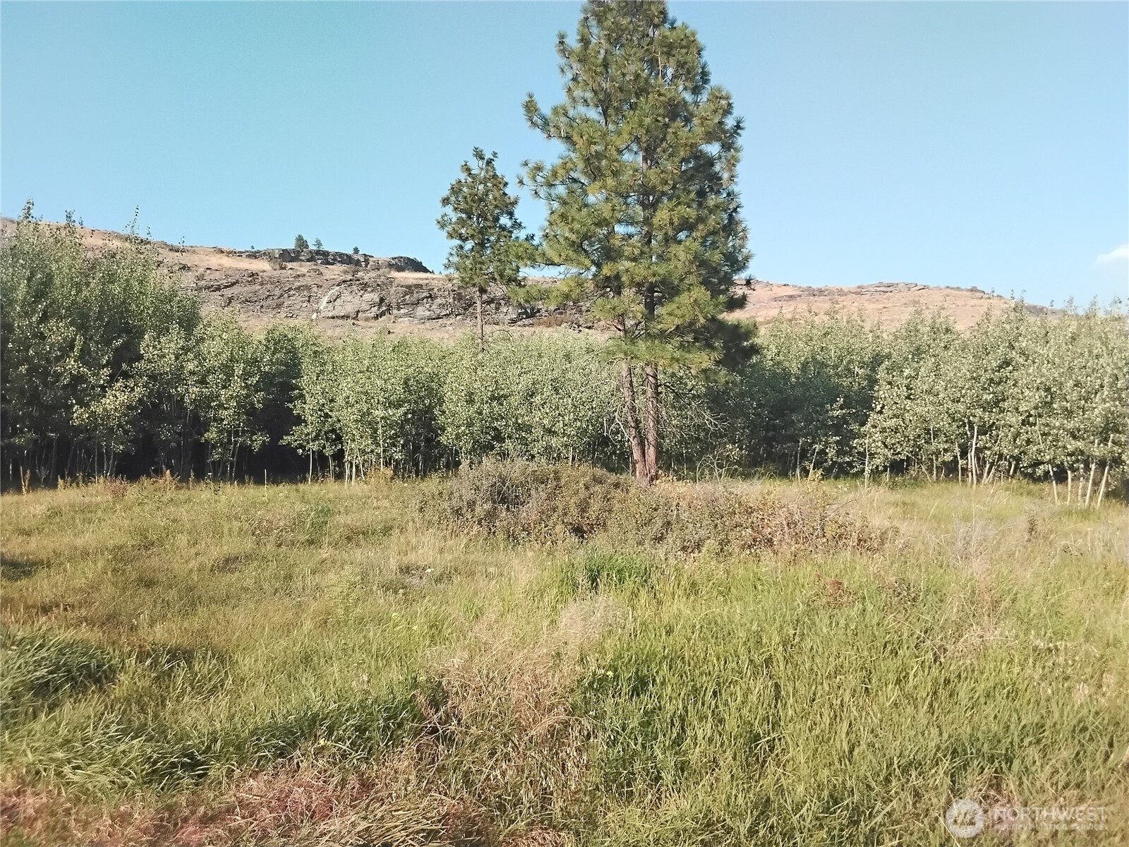 4 Painted Rock Road Tonasket WA 98855