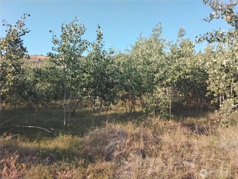 4 Painted Rock Road Tonasket WA 98855