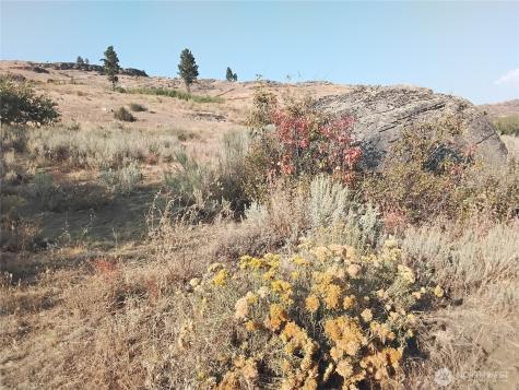 4 Painted Rock Road Tonasket WA 98855