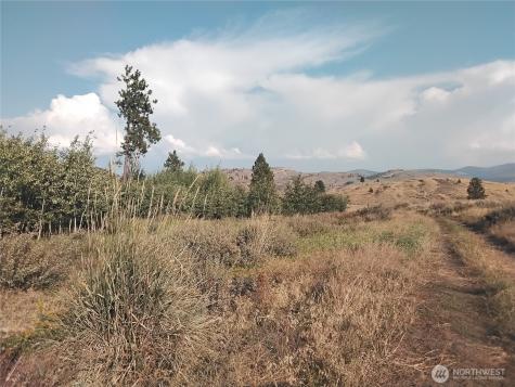 4 Painted Rock Road Tonasket WA 98855