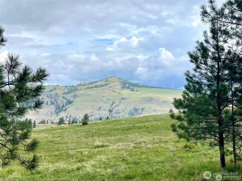 0 A Chopaka Way Tonasket WA 98855