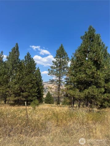 0 A Chopaka Way Tonasket WA 98855