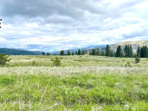 0 A Chopaka Way Tonasket WA 98855