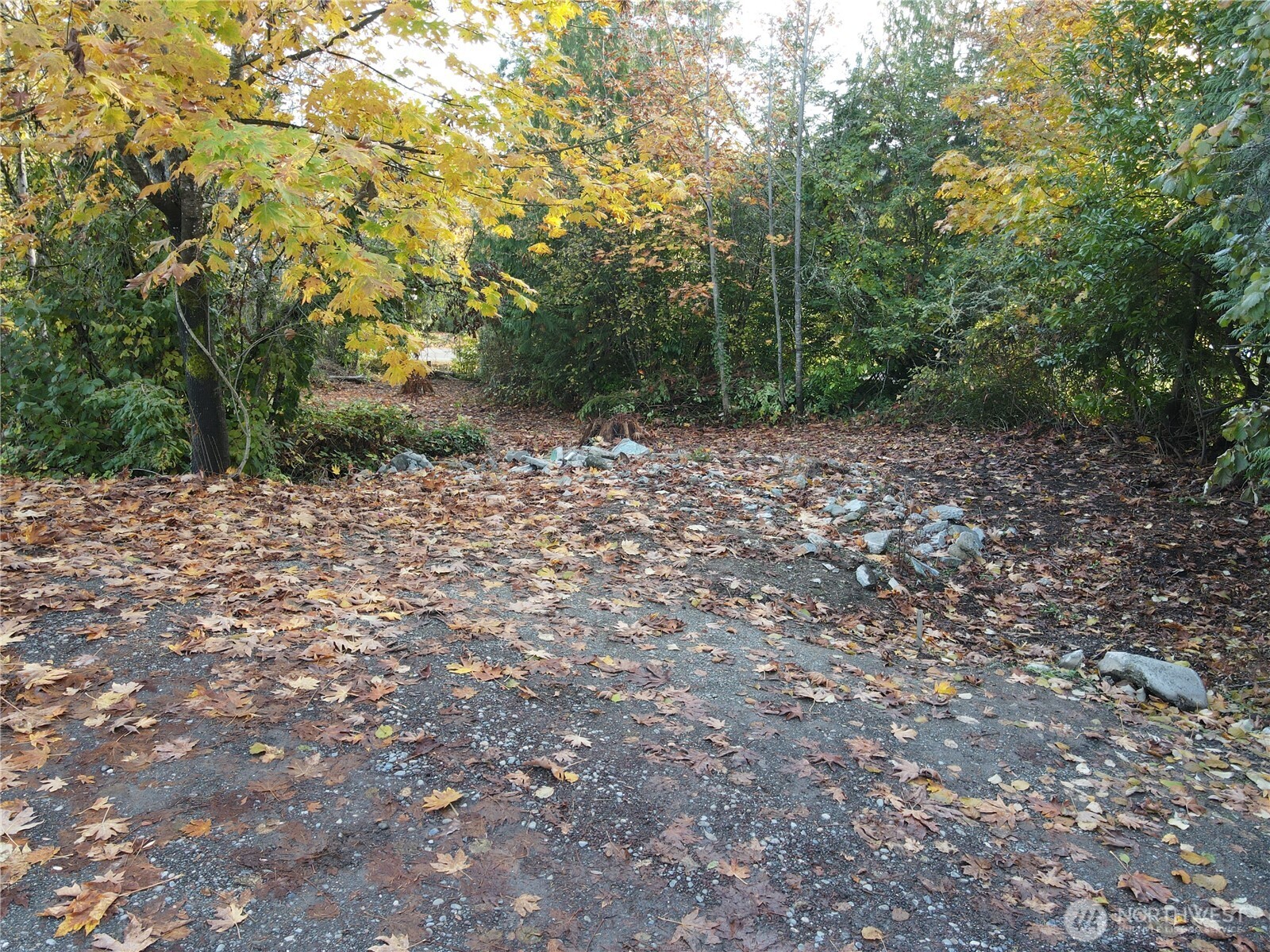 1981 Chico Way NW Bremerton WA 98310
