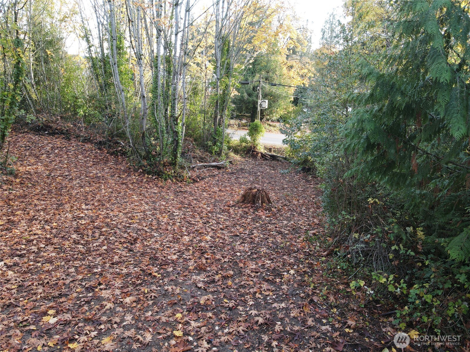 1981 Chico Way NW Bremerton WA 98310