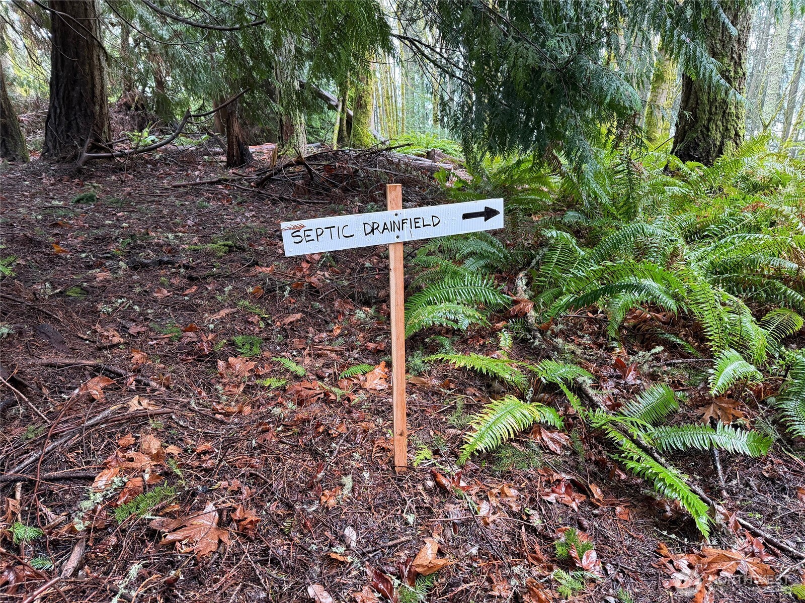 17680 Hallman Road NW Poulsbo WA 98370