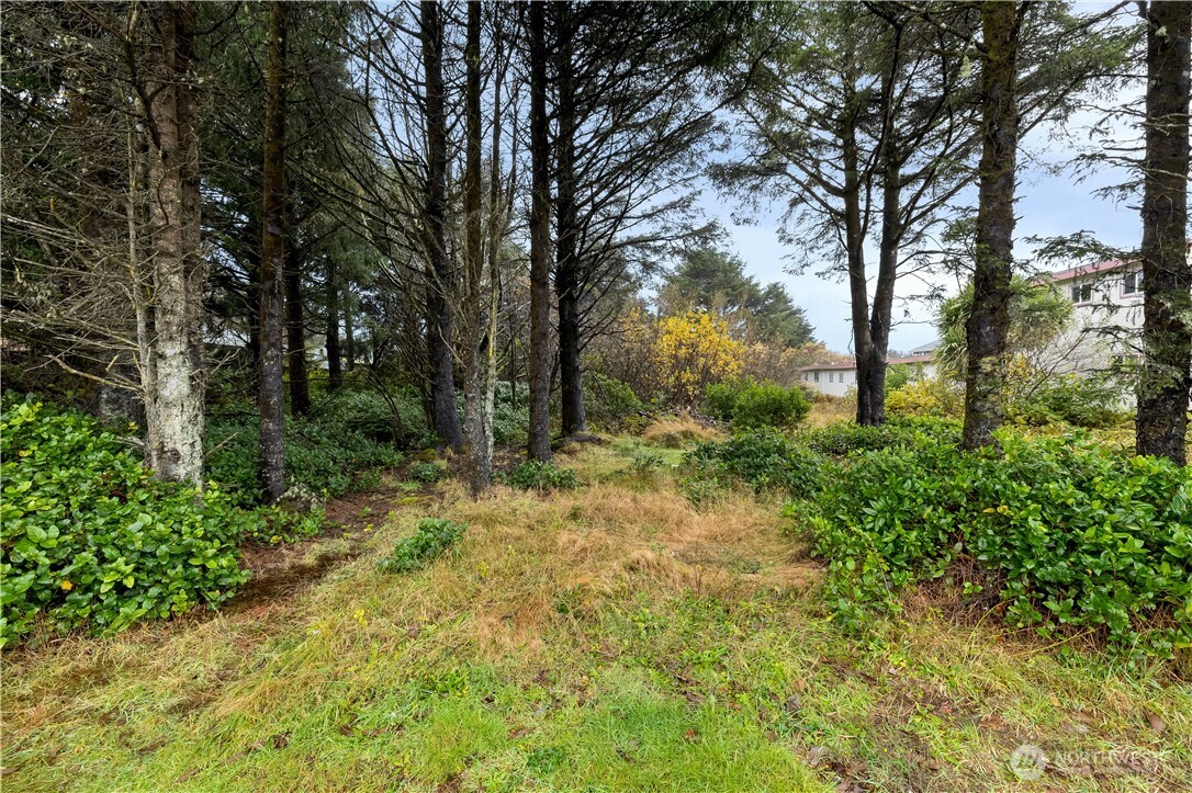 880 Ocean Shores Boulevard Ocean Shores WA 98569