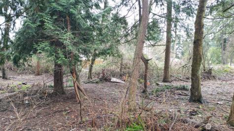 1111 Enchanted Parkway S Federal Way WA 98003