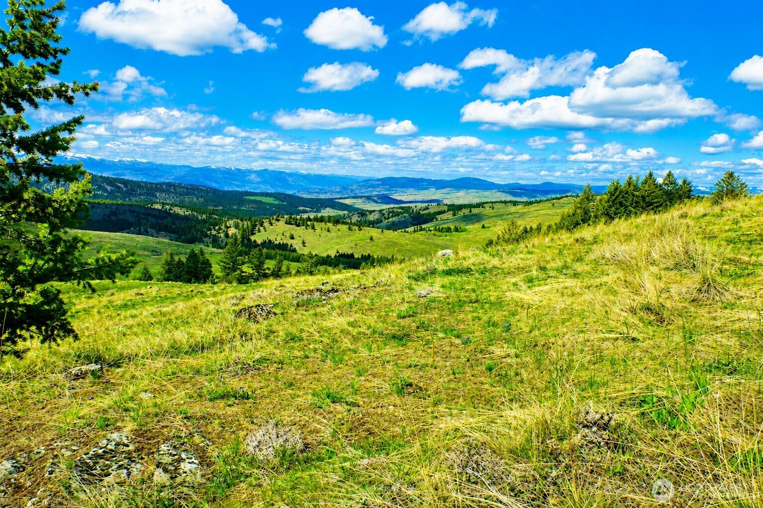 61 Janet Marie Road Tonasket WA 98855