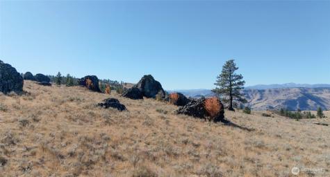 54 Wolf Holler Road Waterville WA 98858