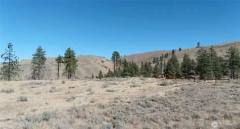 54 Wolf Holler Road Waterville WA 98858