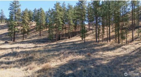 54 Wolf Holler Road Waterville WA 98858