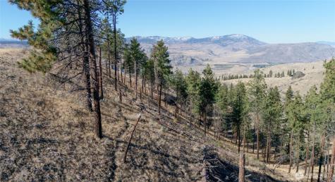 54 Wolf Holler Road Waterville WA 98858