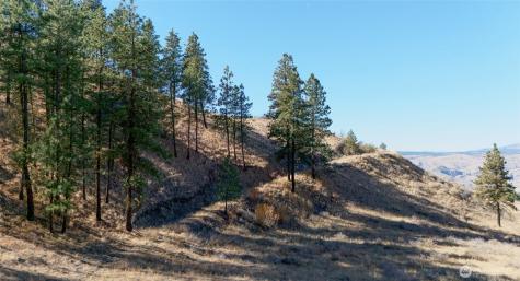 54 Wolf Holler Road Waterville WA 98858