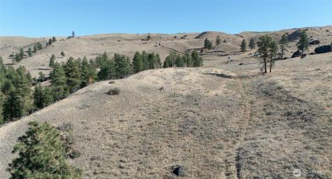 54 Wolf Holler Road Waterville WA 98858