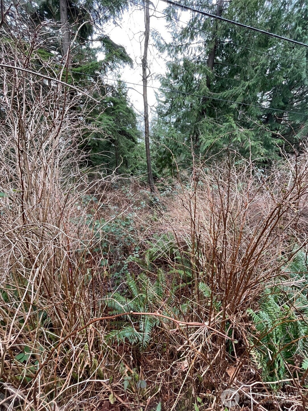 1268 Island Drive Lummi Island WA 98262