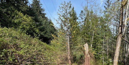 1268 Island Drive Lummi Island WA 98262