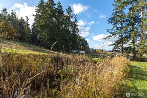 9999 Levig Road Port Angeles WA 98362