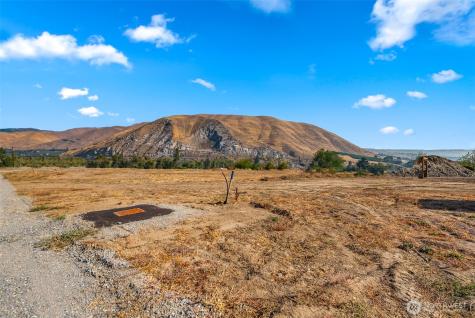 22 Farmer Lane (Lot 1) Monitor WA 98836