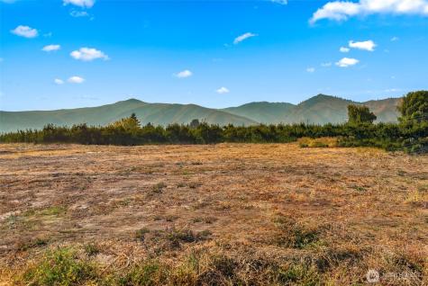 22 Farmer Lane (Lot 1) Monitor WA 98836