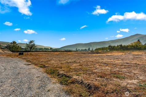22 Farmer Lane (Lot 1) Monitor WA 98836