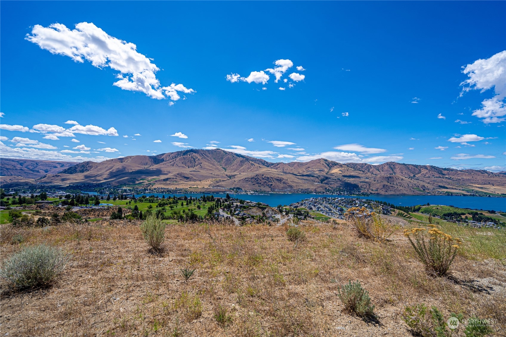 929 Long Drive Chelan WA 98816