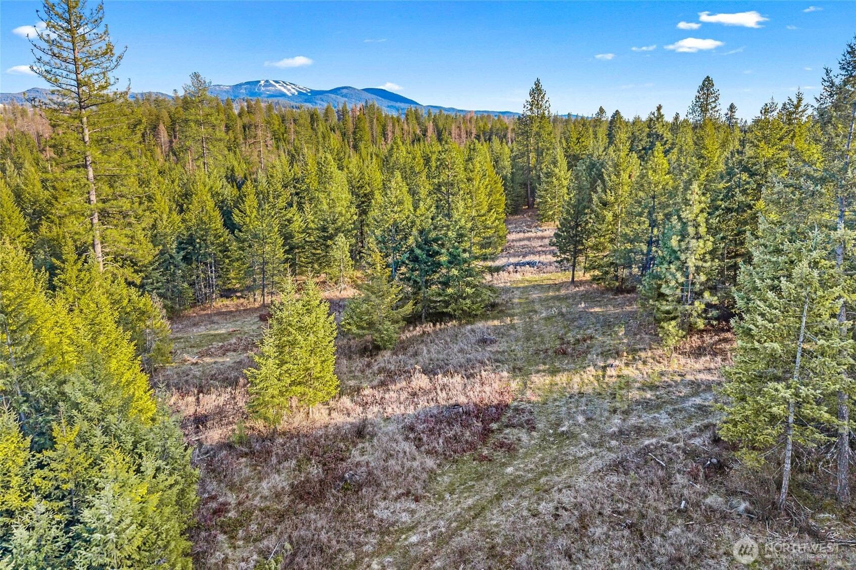 12818 E Bridges Road Elk WA 99009