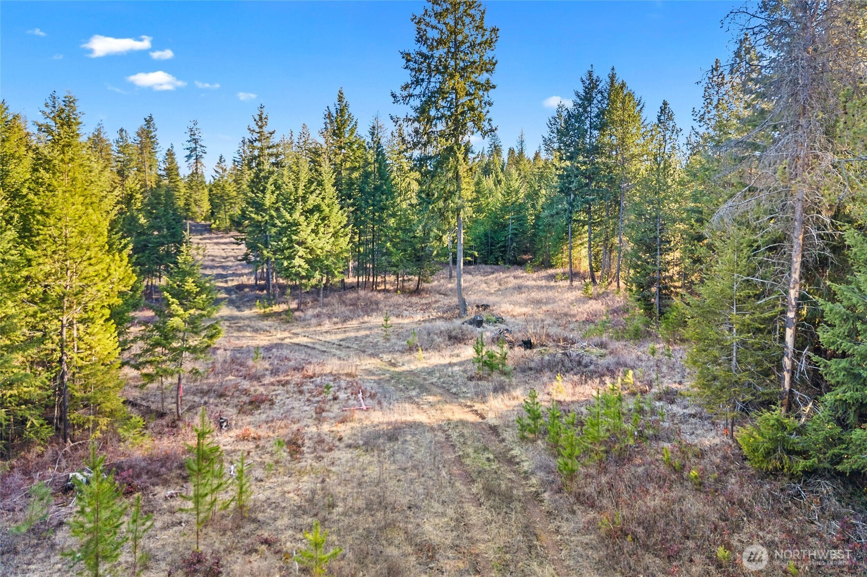 12818 E Bridges Road Elk WA 99009