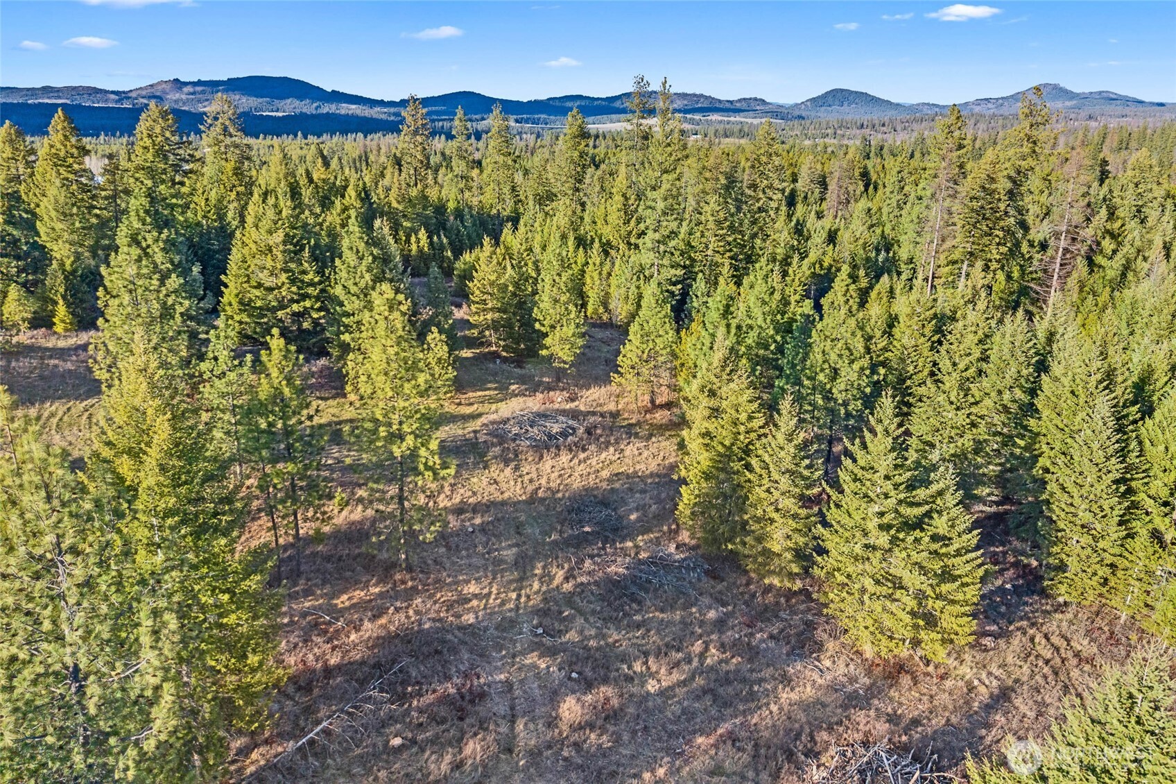 12818 E Bridges Road Elk WA 99009