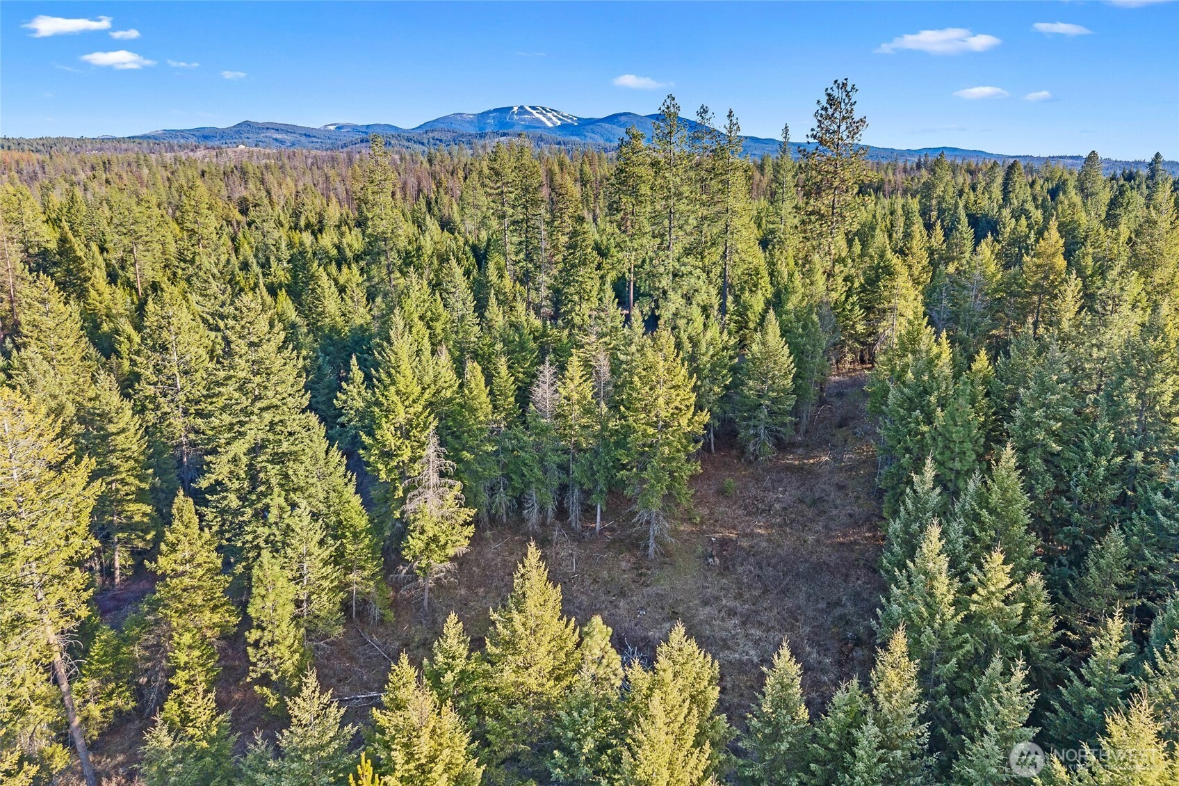 12818 E Bridges Road Elk WA 99009