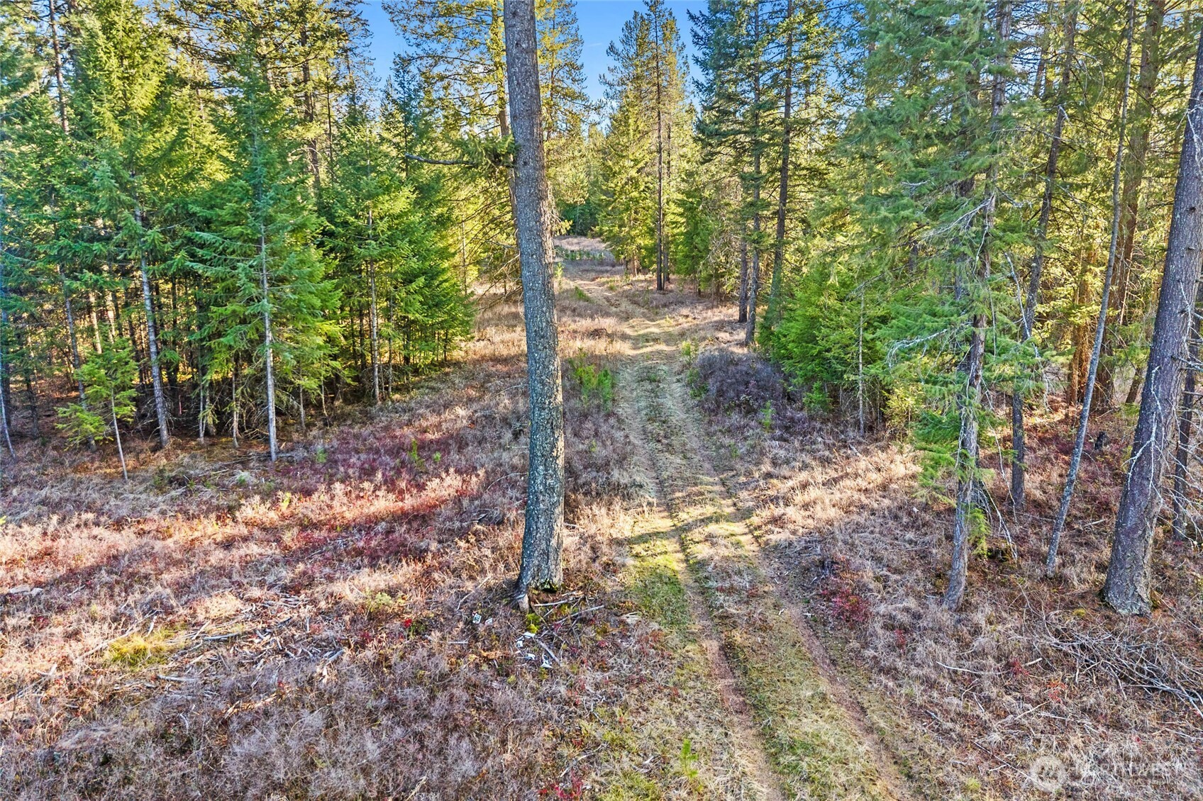 12818 E Bridges Road Elk WA 99009