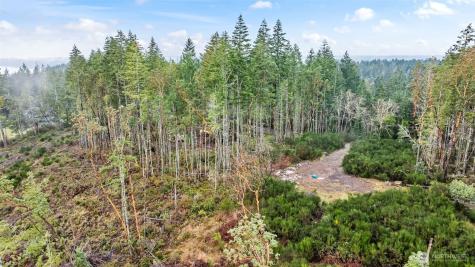 1809 208th Avenue SW Lakebay WA 98349