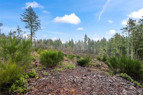 1809 208th Avenue SW Lakebay WA 98349
