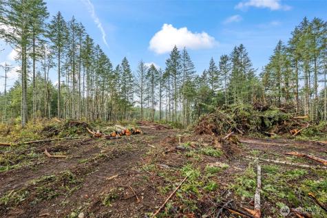 1809 208th Avenue SW Lakebay WA 98349