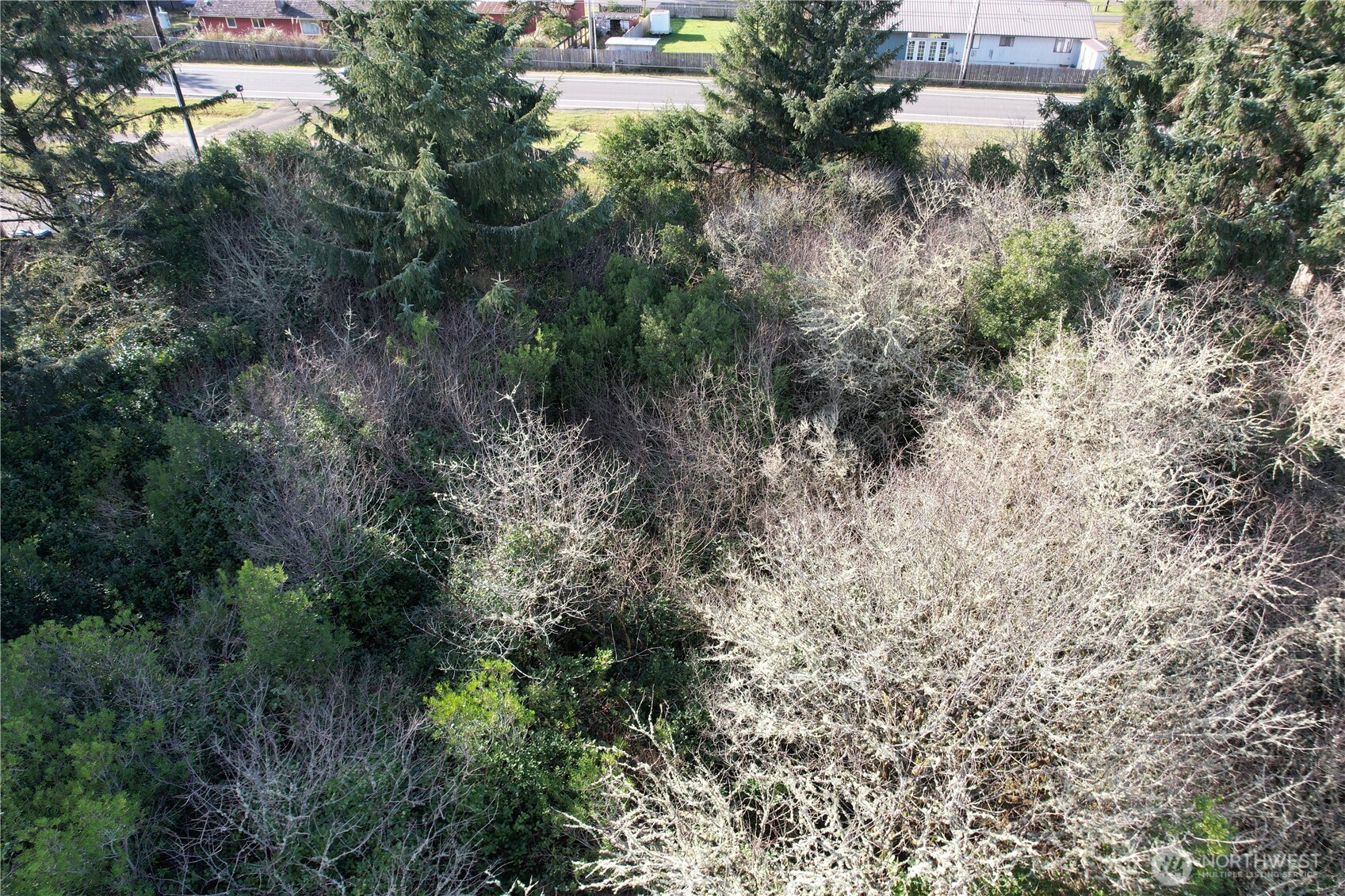 466 Point Brown Avenue NE Ocean Shores WA 98569