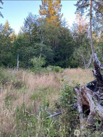 121 N Bagley Creek Road Port Angeles WA 98362