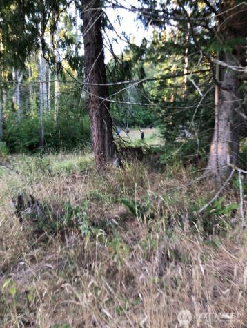 121 N Bagley Creek Road Port Angeles WA 98362