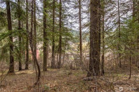 1 Chumstick Highway Leavenworth WA 98826