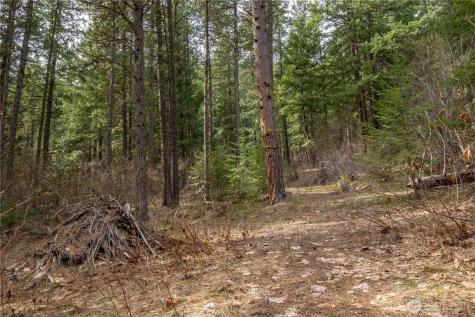1 Chumstick Highway Leavenworth WA 98826