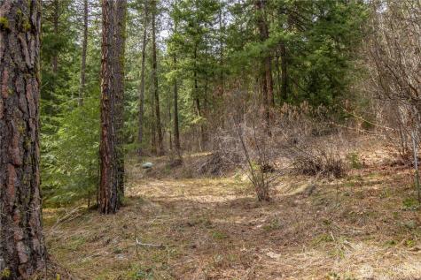 1 Chumstick Highway Leavenworth WA 98826