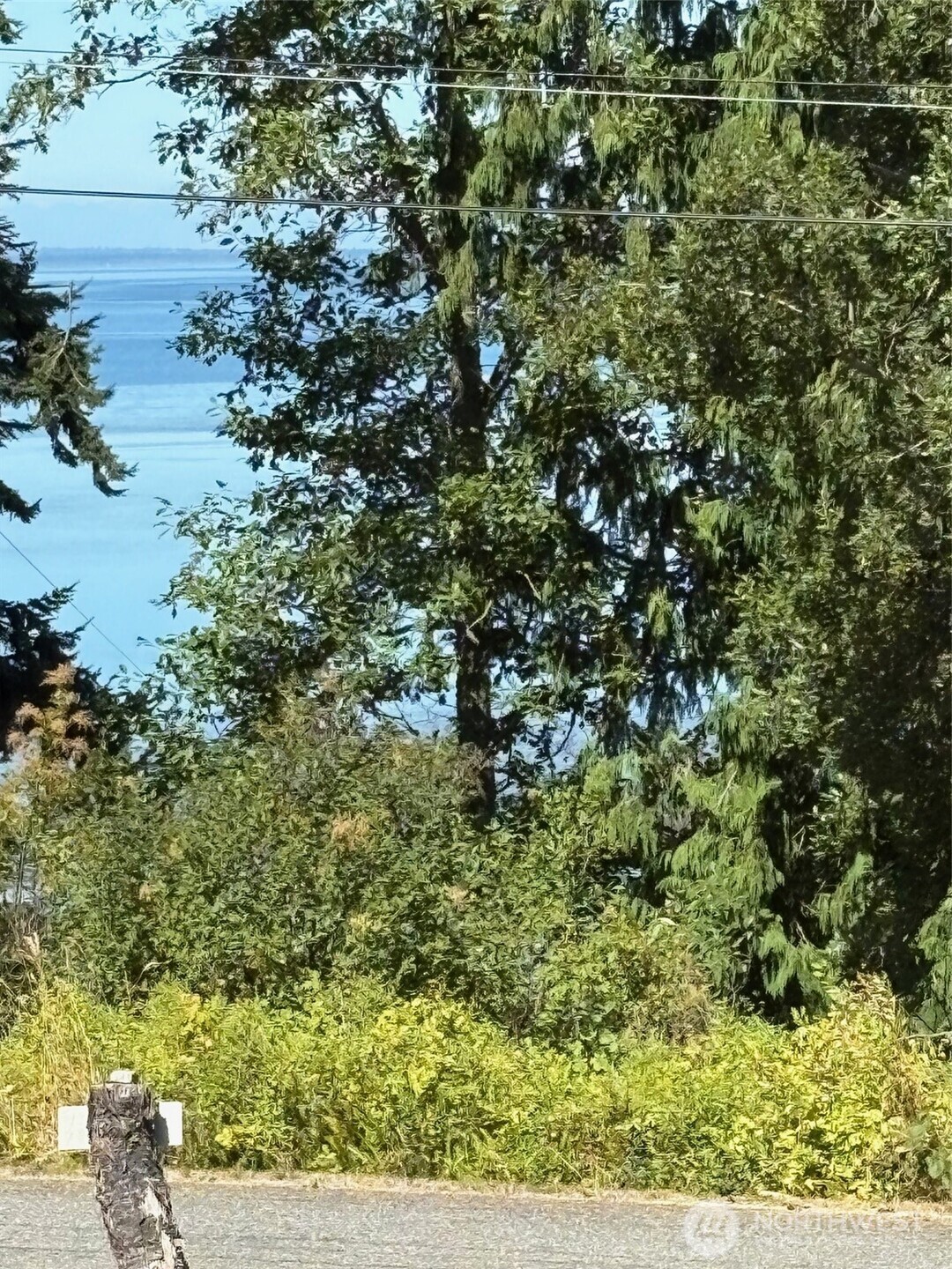 4904 Roney Road Bow WA 98232