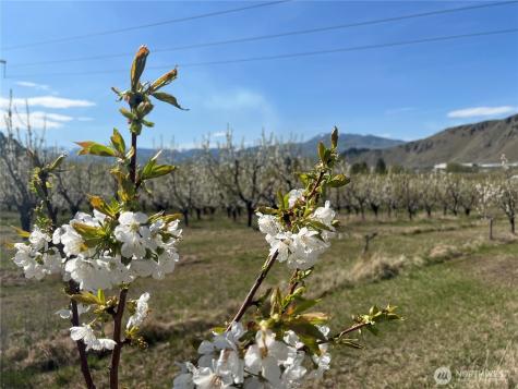 4477 NW Cascade Avenue East Wenatchee WA 98802