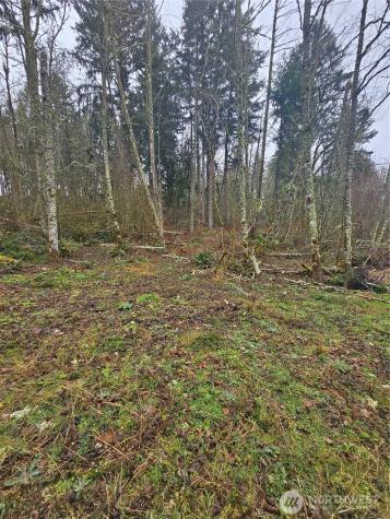 25933 96th Avenue E Graham WA 98338