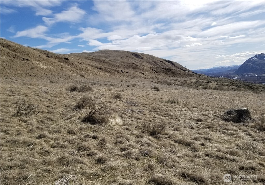 0 Nicholson Road Tonasket WA 98855