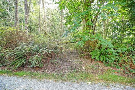 0 Rateau Drive Camano Island WA 98282