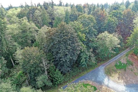 0 Rateau Drive Camano Island WA 98282